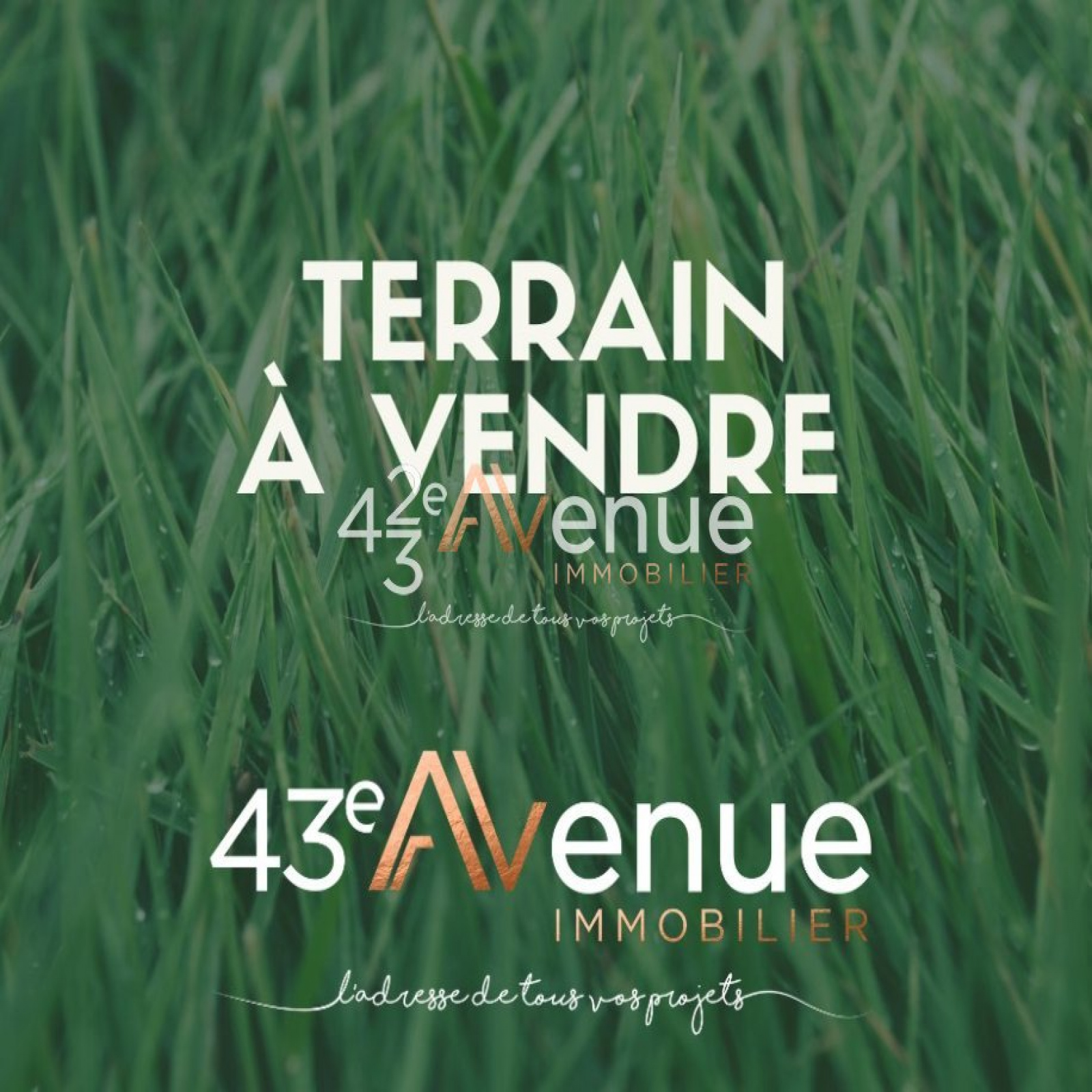 Vente Terrain à Beauzac (43590) - 43ème Avenue Immobilier