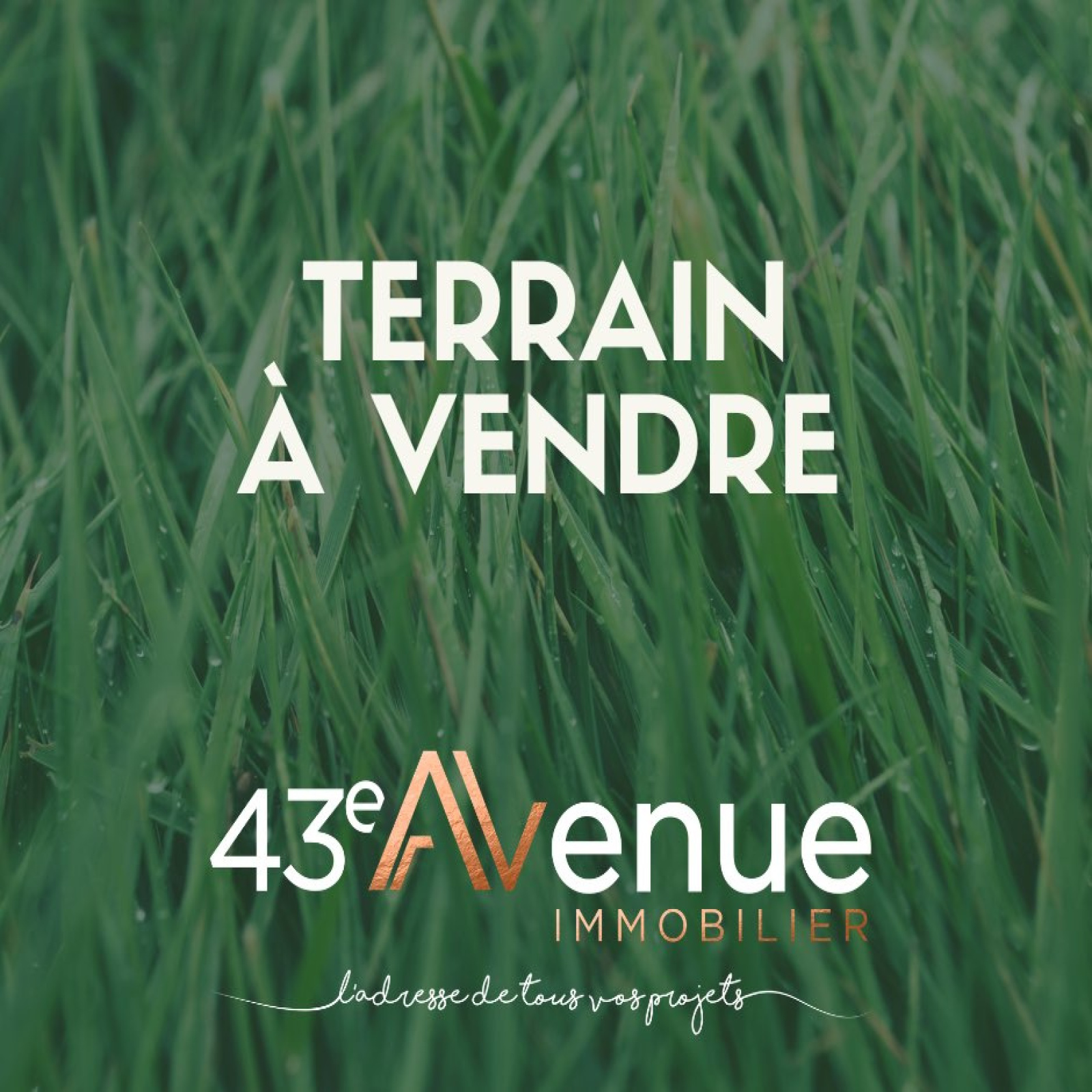Image_, Terrain, Beauzac, ref :2527